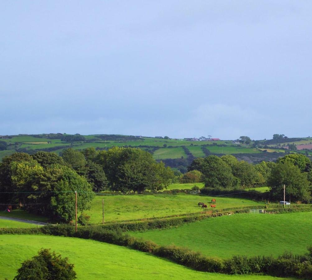 Holly Cottage Mayobridge Newry Bagian luar foto